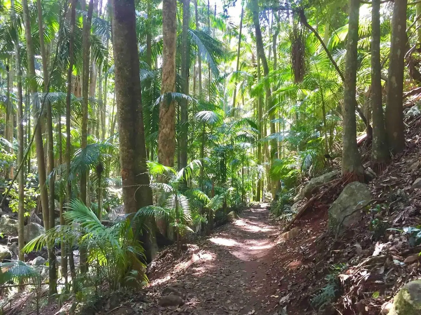 Entire Self-Contained Cabin On The Beautiful Mountain Mount Tamborine Australia