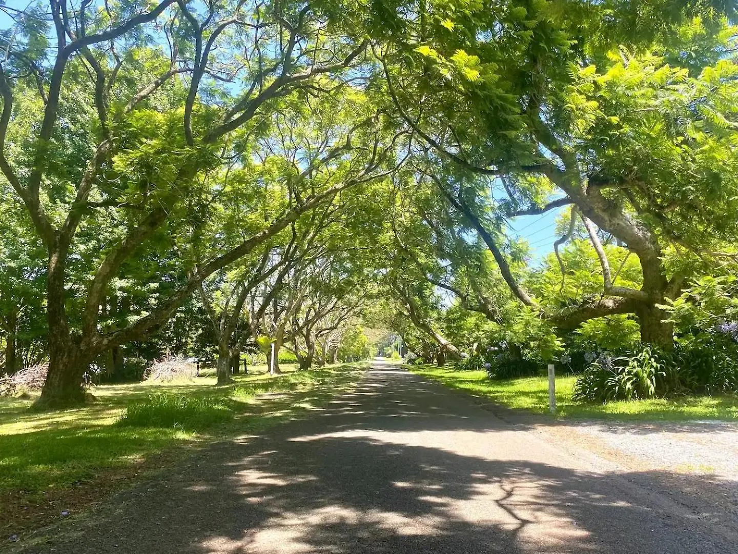 Bed & Breakfast Entire Self-Contained Cabin On The Beautiful Mountain Mount Tamborine Australia